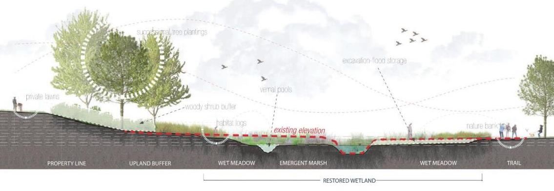 Site Section